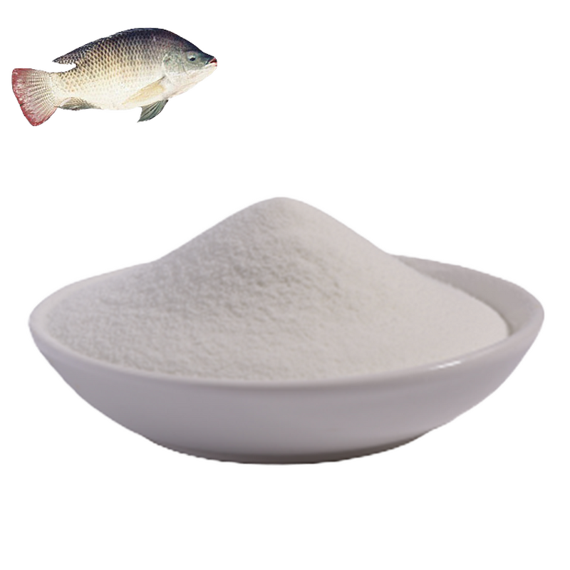 Marine Collagen Powder Manufacturer - 5g Hydrolyzed for Adult Skin Hydrating Wild Caught