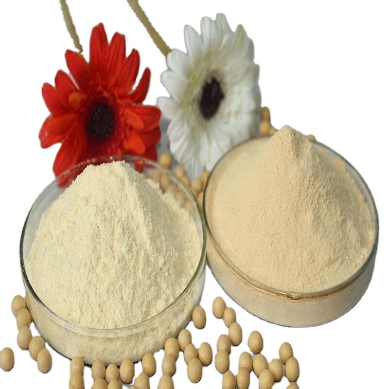 Soy Protein Isolates Manufacturer - ISP Bulk Competitively Priced Nutrition Enhancer