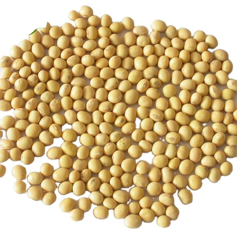 Soybean Peptide Powder Manufacturer - for Beauty Products Dosage Form