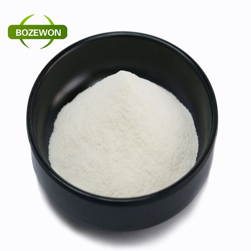 Hydrolyzed Bovine Collagen Powder Manufacturer - Type I 99% for Beauty Products