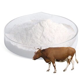 Hydrolyzed Bovine Collagen Peptide Powder Manufacturer - 90% Protein Food Grade Bulk