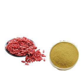 Wolfberry Extract Powder Manufacturer - Organic Wild-Cultivated Polysaccharide Drum