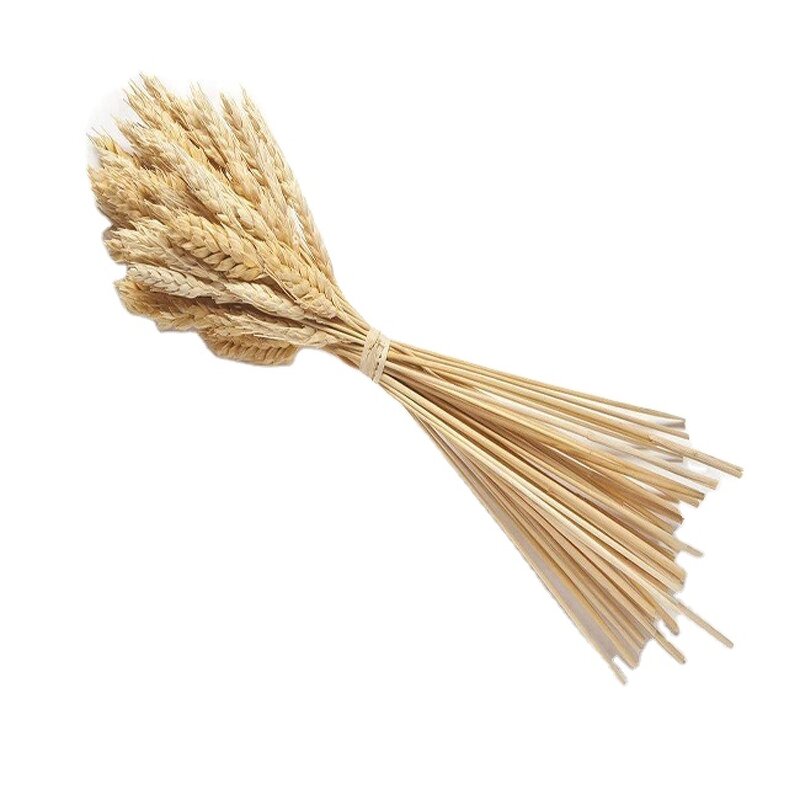 Hydrolyzed Wheat Gluten Manufacturer - 80%-85% Organic Natural Nutrition Enhancer