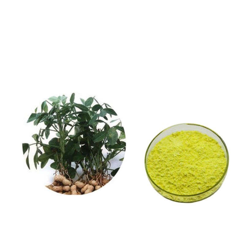 Luteolin Extract Powder Manufacturer - Food Grade 98% from Peanut Shell Drum
