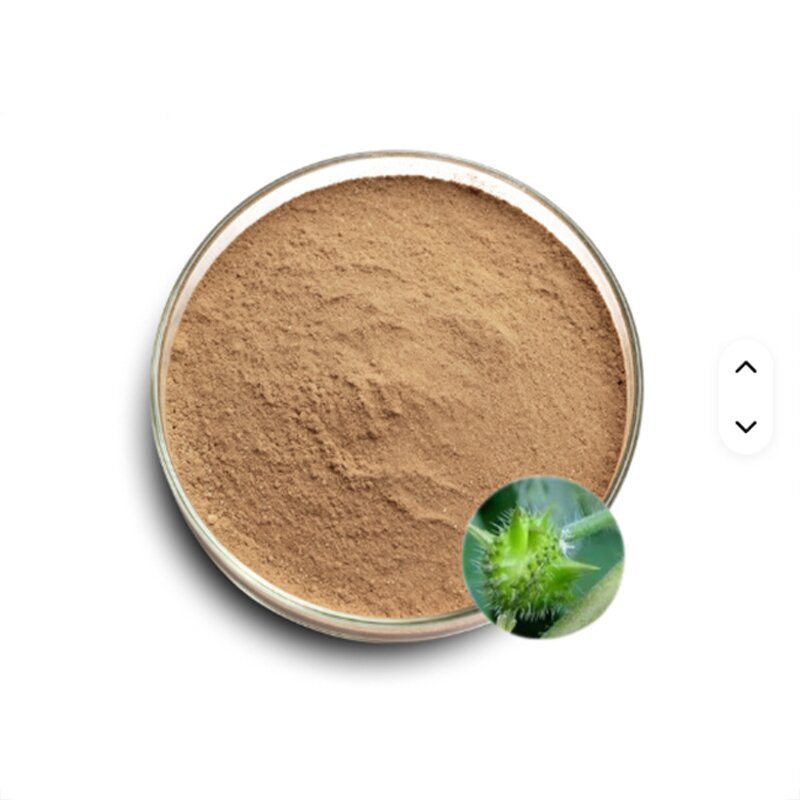 Tribulus Terrestris Extract Powder Manufacturer - 100% Pure Natural 45% Saponins