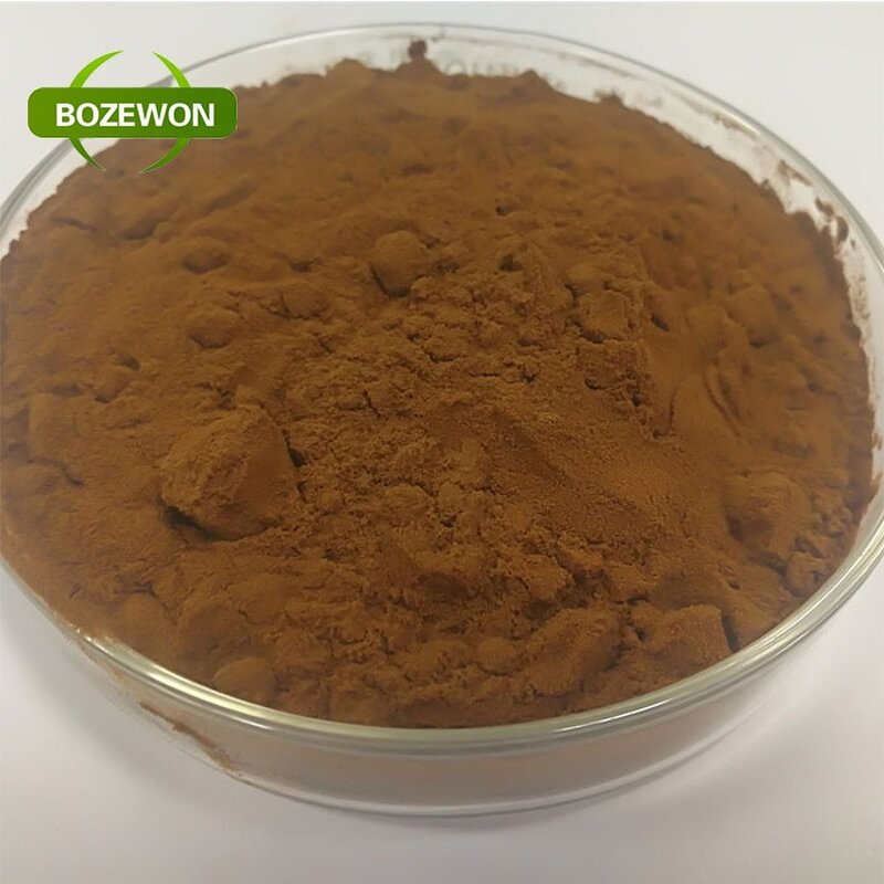 Dandelion Root Extract Powder Manufacturer - Food Grade Herbal Supplement Drum