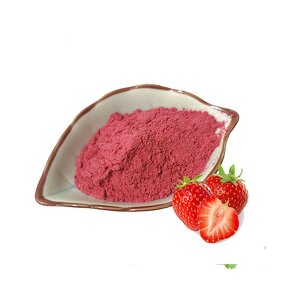 Strawberry Extract Powder Manufacturer - Natural Freeze Dried Organic