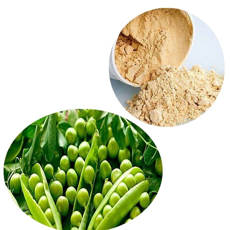 Pea Protein Isolate Powder Manufacturer - Organic Raw Non-GMO Bulk Supply