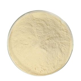 Sodium Alginate Manufacturer - Food and Textile Grade Thickeners Top Sell