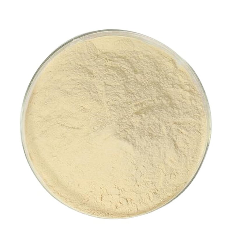 Sodium Alginate Manufacturer - Food and Textile Grade Thickeners Top Sell