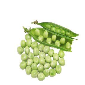 Pea Protein Isolate Manufacturer - Organic 80%-85% Halal ISO Flavoring Agents