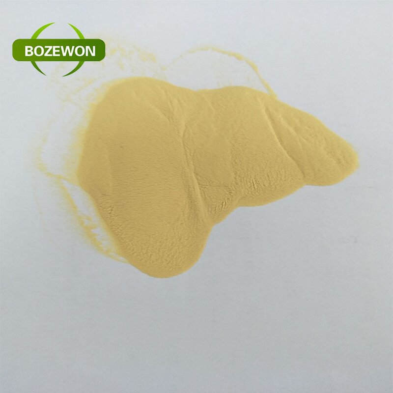 Lycopodium Spore Powder Manufacturer - Light Conveniently Packed in Drums
