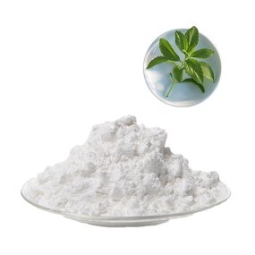 Stevioside Powder Manufacturer - Food Grade Wild Cultivated Well Priced Drum