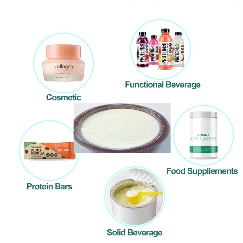 Hydrolyzed Bovine Collagen Powder Manufacturer - Healthcare Supplement Wholesale Halal
