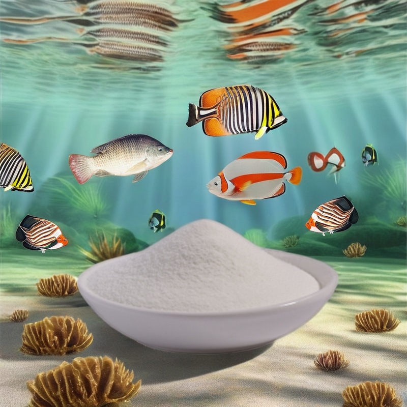 Marine Collagen Powder Manufacturer - 5g Hydrolyzed for Adult Skin Hydrating Wild Caught