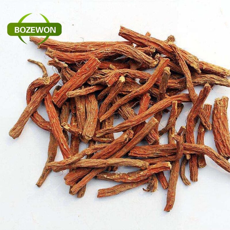 Dandelion Root Extract Powder Manufacturer - Food Grade Herbal Supplement Drum