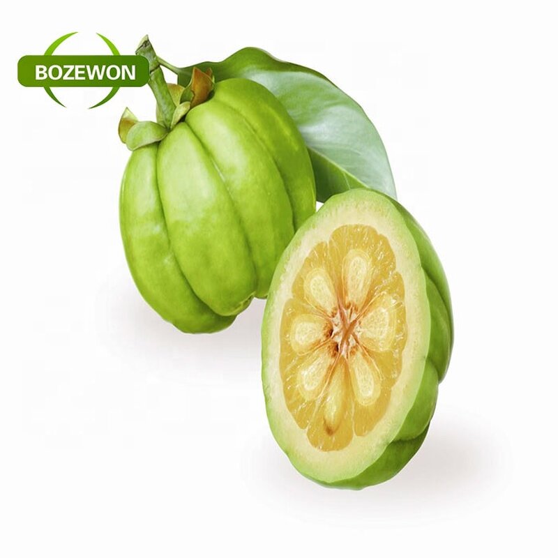 Garcinia Cambogia Extract Powder Manufacturer - Food Grade Herb in Drum