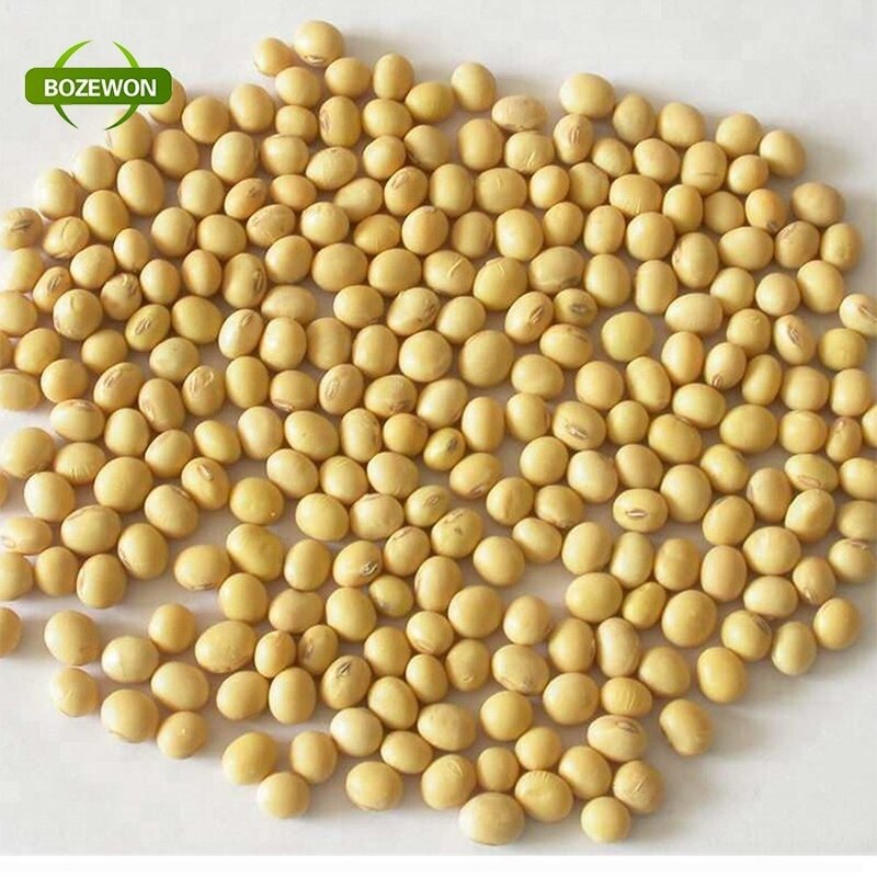Soy Dietary Fiber Powder Manufacturer - Food Additive Food Grade ISO 2 Year