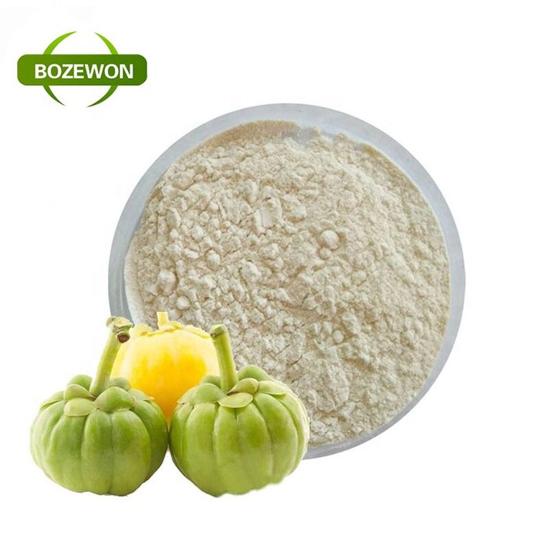 Garcinia Cambogia Extract Powder Manufacturer - Food Grade Herb in Drum