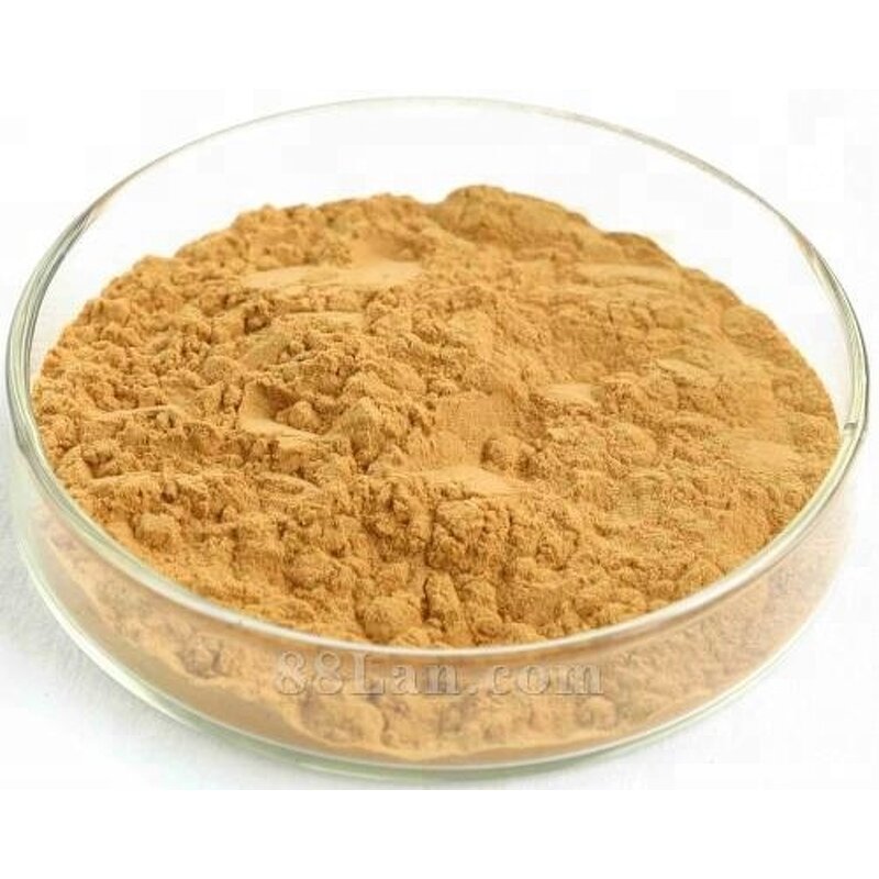 Ginkgo Biloba Extract Powder Factory - 100% Natural Drum Packaging ISO Certified
