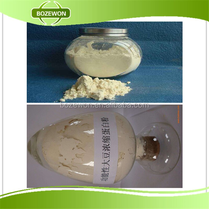 Textured Soy Protein Powder Manufacturer - Flavoring Agents Nutrition Enhancers
