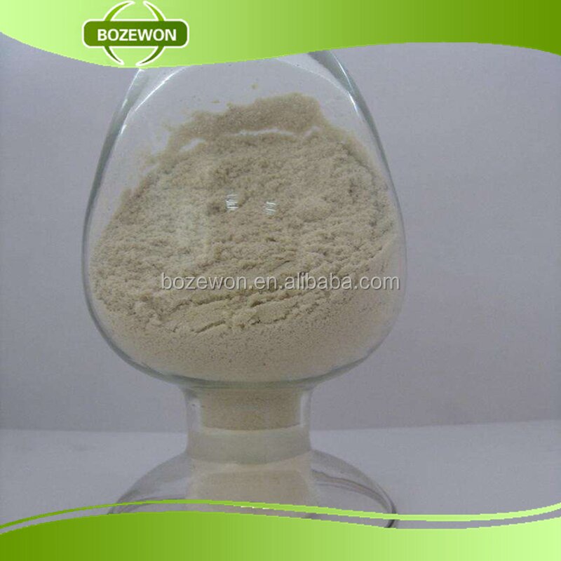 Hydrolyzed Wheat Protein Manufacturer - 80% Kosher ISO Food Grade Additive