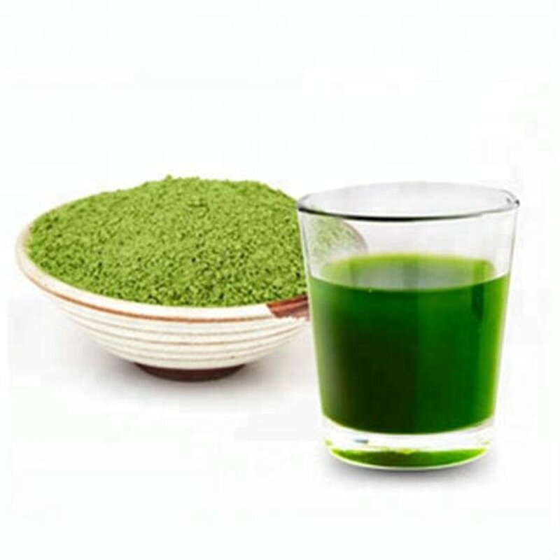 Barley Grass Juice Powder Manufacturer - 100% Organic HPLC-Tested in Glass Container