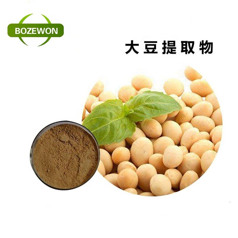 Soy Dietary Fiber Powder Manufacturer - Food Additive Food Grade ISO 2 Year