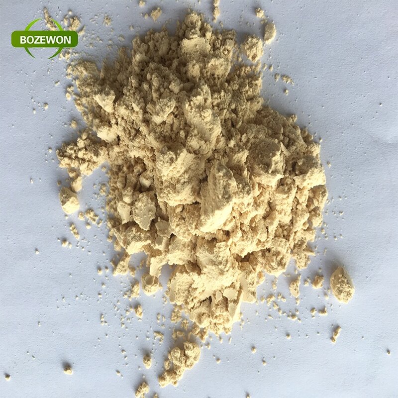 Pea Protein Isolate Powder Manufacturer - Organic Raw Non-GMO Bulk Supply