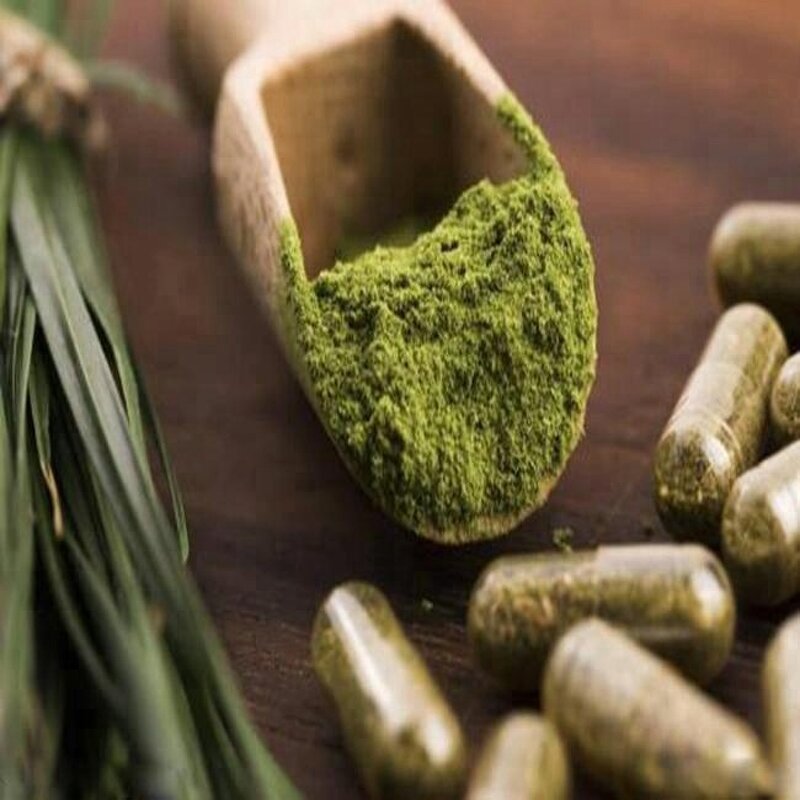 Wheat Grass Juice Powder Factory - 100% Organic HPLC-Tested in Drum Glass Vacuum