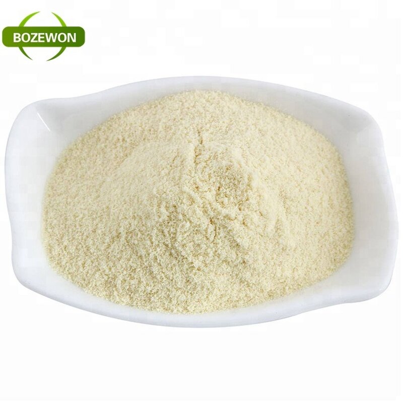 Pea Protein Isolate Powder Manufacturer - Organic Raw Non-GMO Bulk Supply