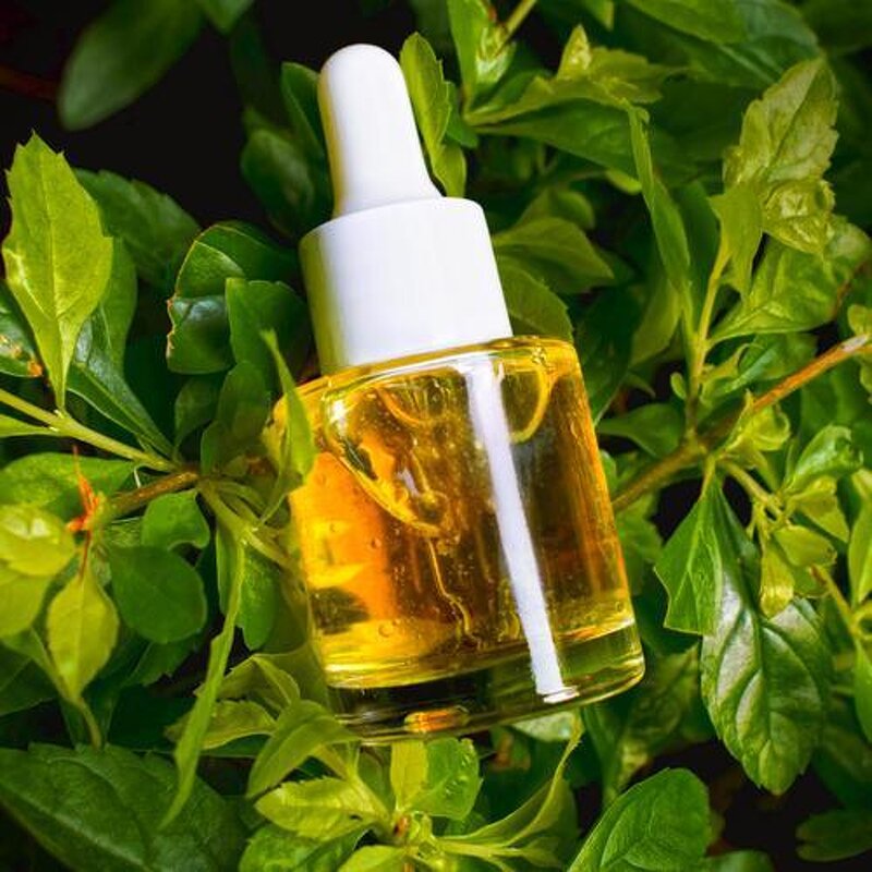 Saw Palmetto Oil Softgel Manufacturer - 500mg Beauty Product for Adults