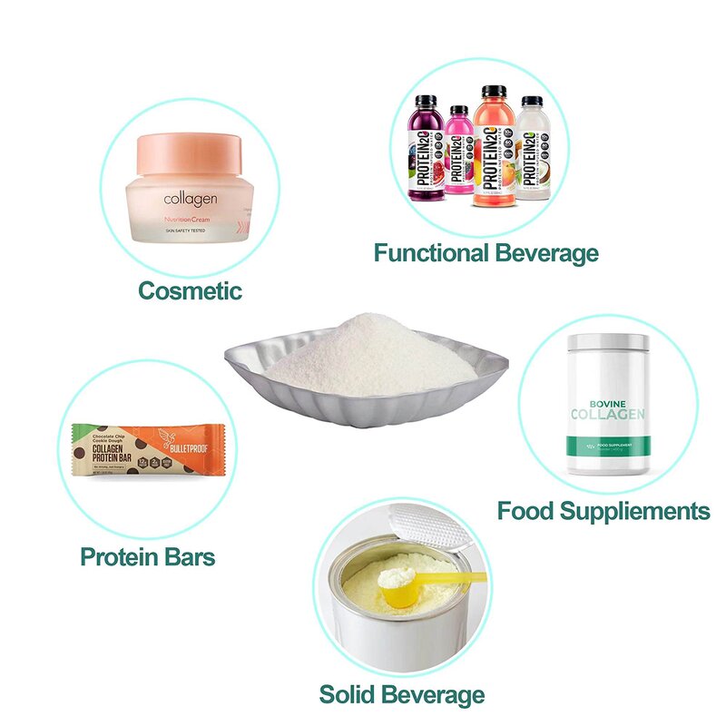 Hydrolyzed Bovine Collagen Peptide Powder Manufacturer - 90% Protein Food Grade Bulk