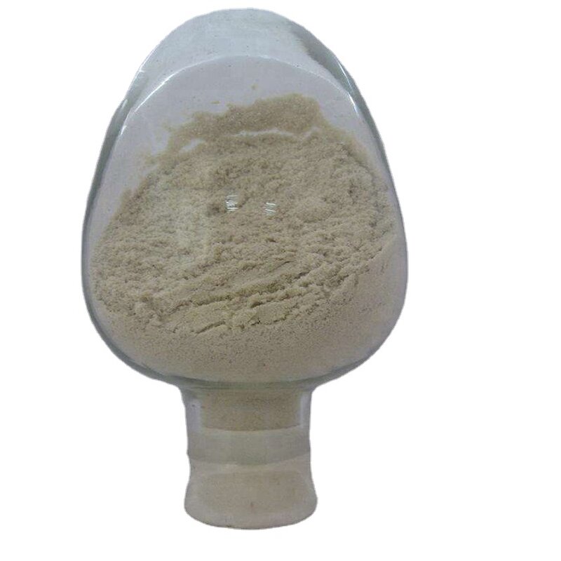 Hydrolyzed Wheat Protein Manufacturer - 80% Kosher ISO Food Grade Additive