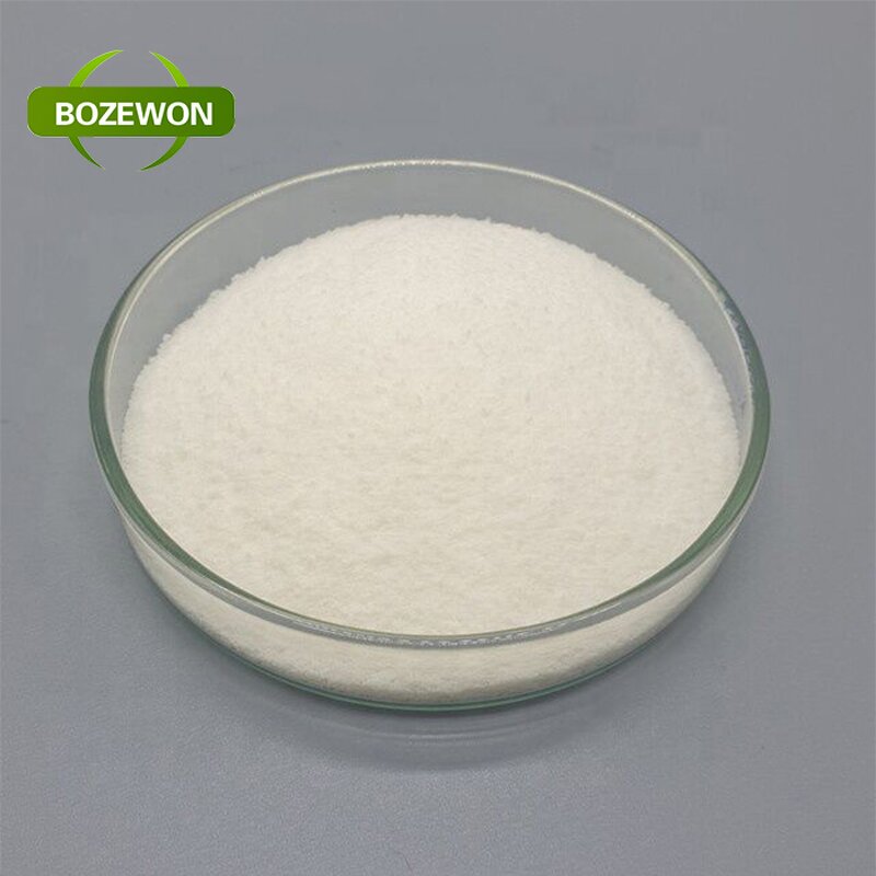Wheat Protein Peptide Manufacturer - Natural Premium Food Additives