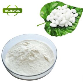 Silk Peptide Powder Manufacturer - Anti-Aging for Adults