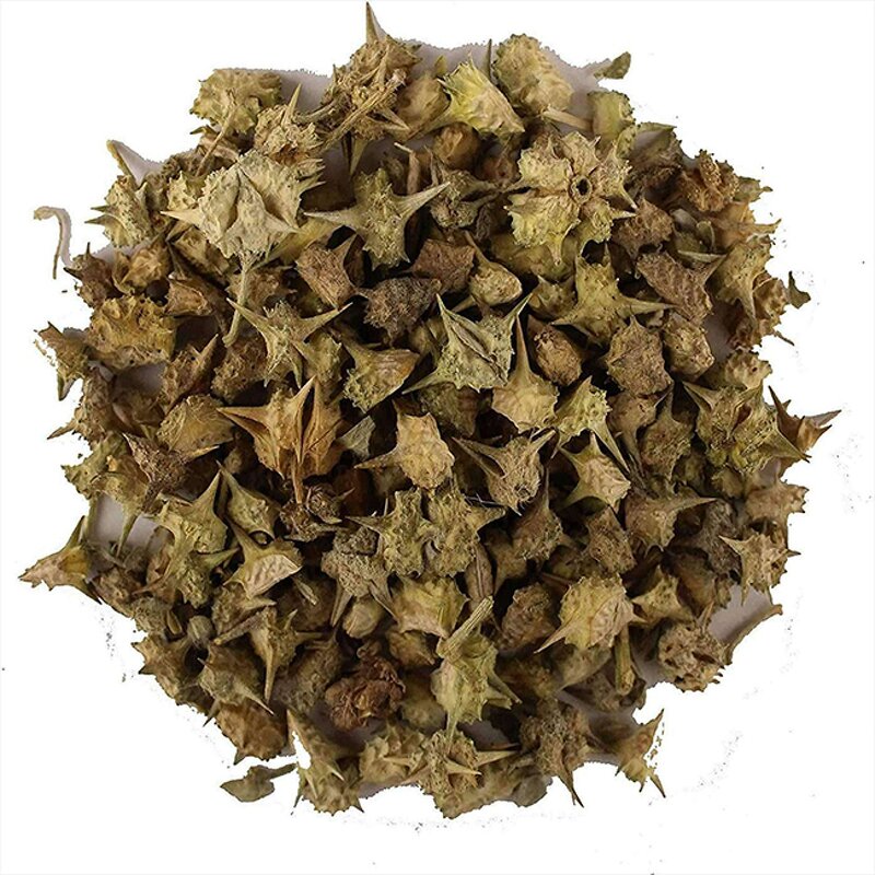 Tribulus Terrestris Extract Powder Manufacturer - 100% Pure Natural Herbal Supplement