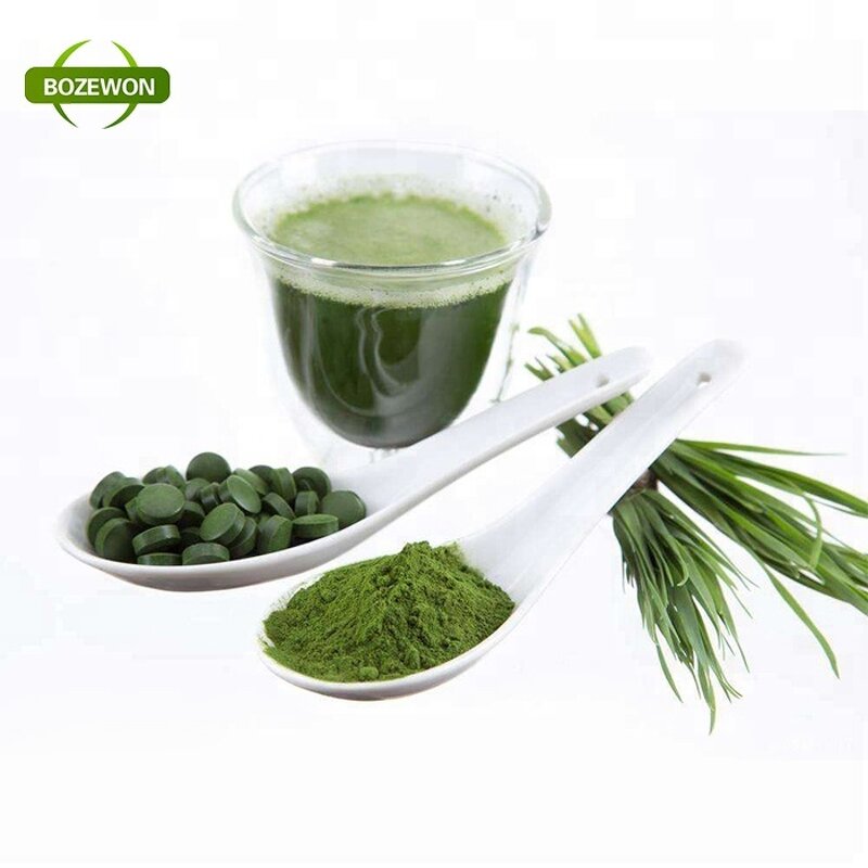 Spirulina Powder Manufacturer - Dosage Form Tablets Powders Capsules