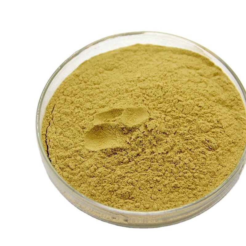 Dandelion Root Extract Powder Manufacturer - Food Grade Herbal Supplement Drum