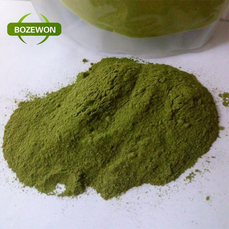 Mulberry Leaf Extract Powder Manufacturer - Sodium Magnesium Chlorophyllin HPLC Drum
