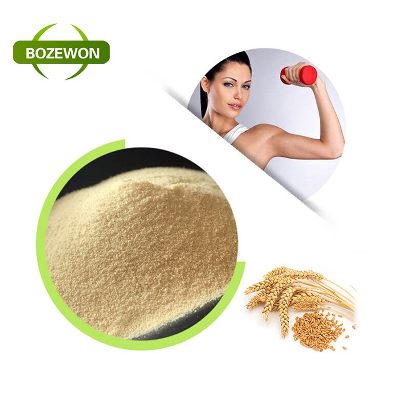 Wheat Protein Peptide Manufacturer - Natural Premium Food Additives