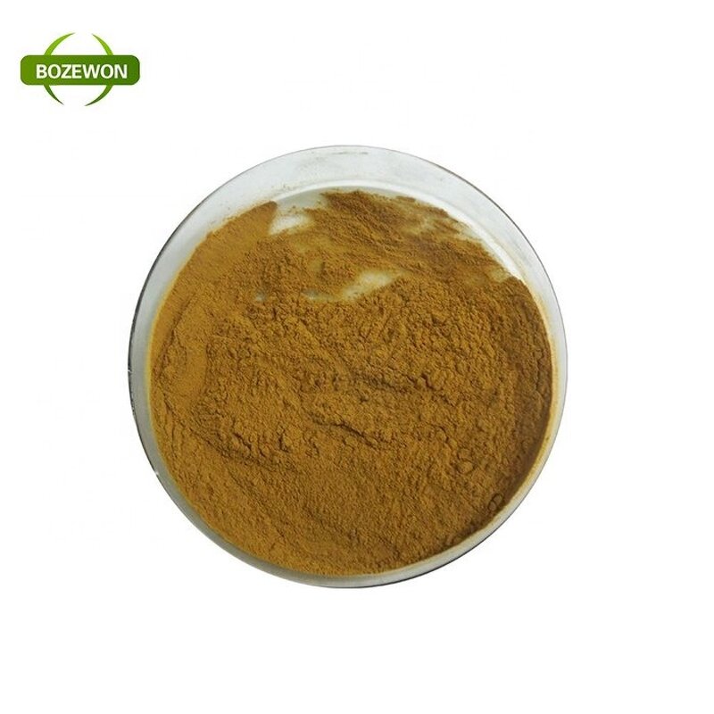 Wolfberry Extract Powder Manufacturer - Organic Wild-Cultivated Polysaccharide Drum