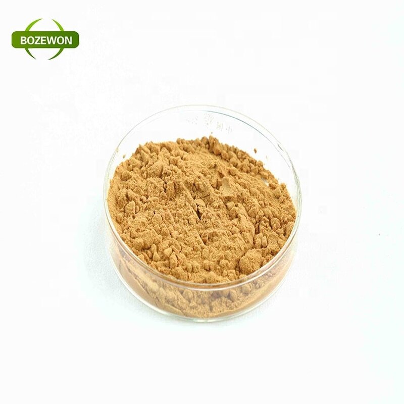 Wolfberry Extract Powder Manufacturer - Organic Wild-Cultivated Polysaccharide Drum