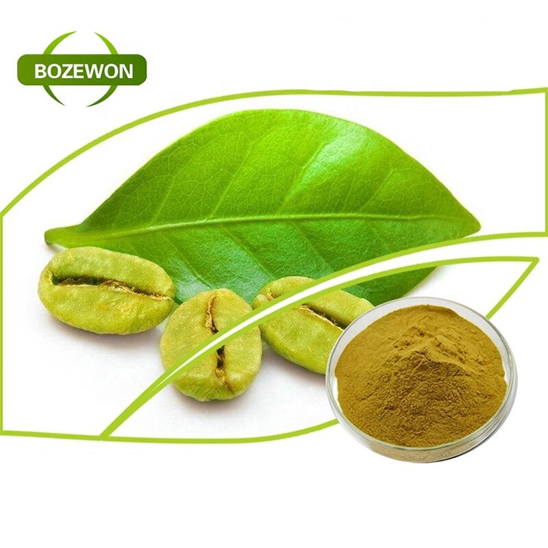 Luo Han Guo Extract Powder Manufacturer - Organic Mogroside V 10% Food Grade Drum