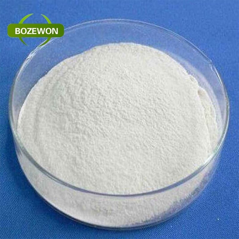 Hydrolyzed Bovine Collagen Peptide Powder Manufacturer - Type I for Beauty Adult Use 90%