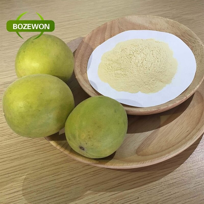 Luo Han Guo Extract Powder Manufacturer - Organic Mogroside V 10% Food Grade Drum