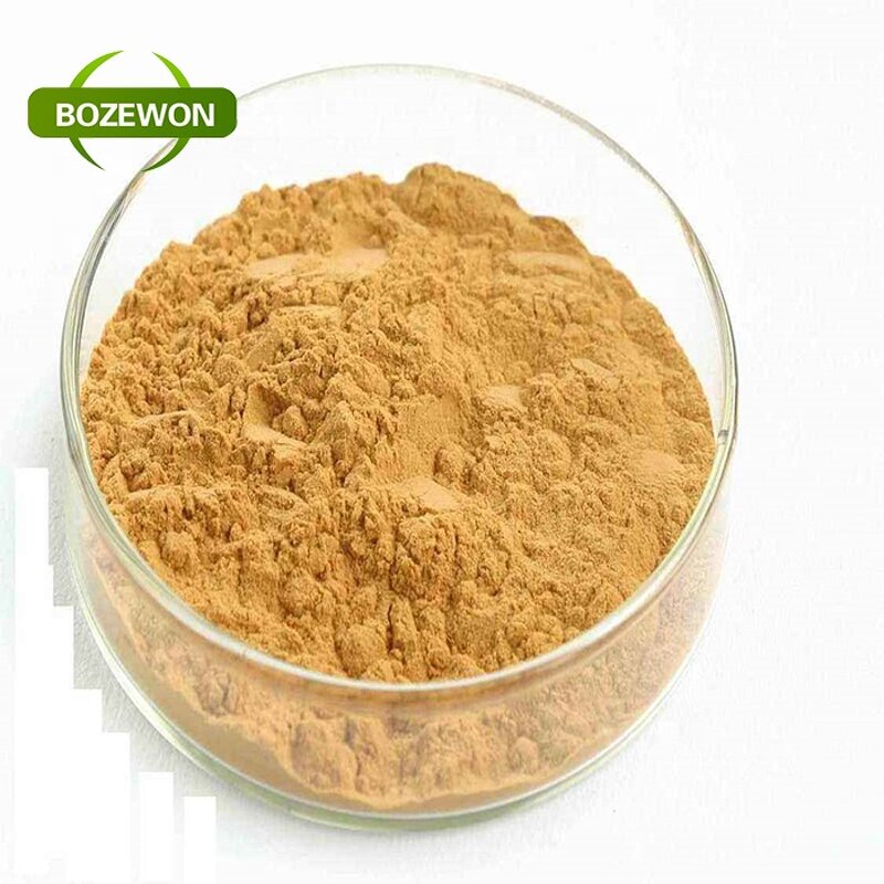 Ginseng Extract Powder Manufacturer - American Korean Red Root 100% Natural in Drum