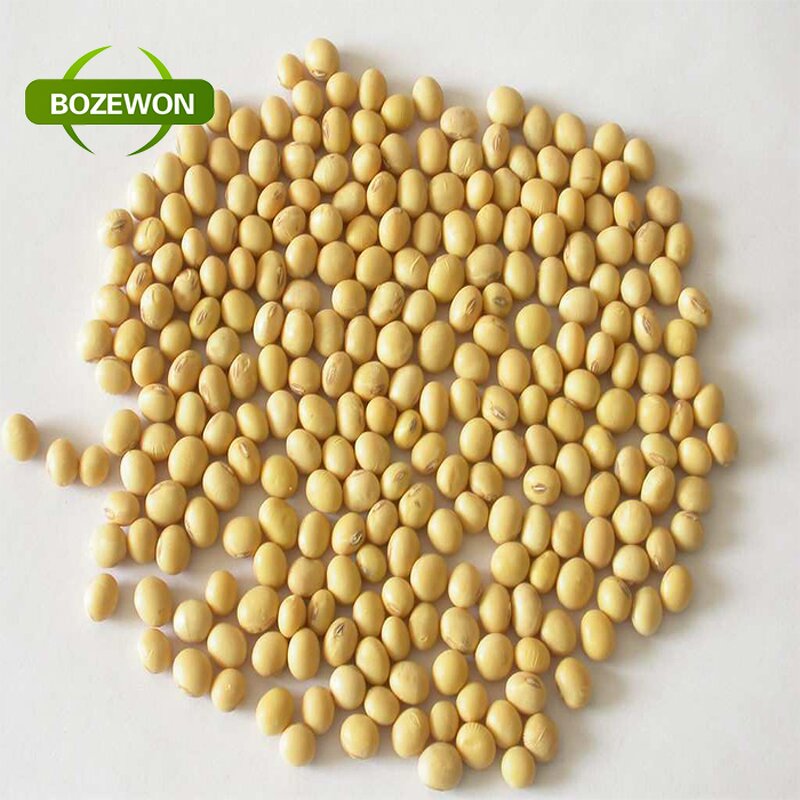 Soybean Isoflavone Extract Powder Manufacturer - Food Grade Water Soluble 20%-60% Drum