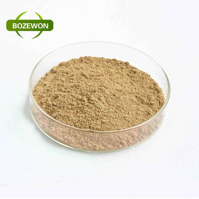 Soybean Isoflavone Extract Powder Manufacturer - Food Grade Water Soluble 20%-60% Drum
