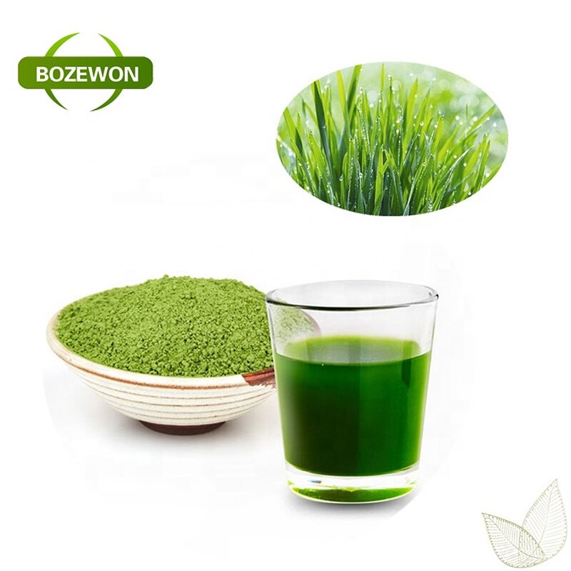 Barley Grass Juice Powder Manufacturer - Organic Herbal Supplement High Quality